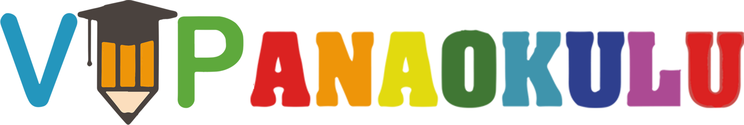 Vip Ana Okulu